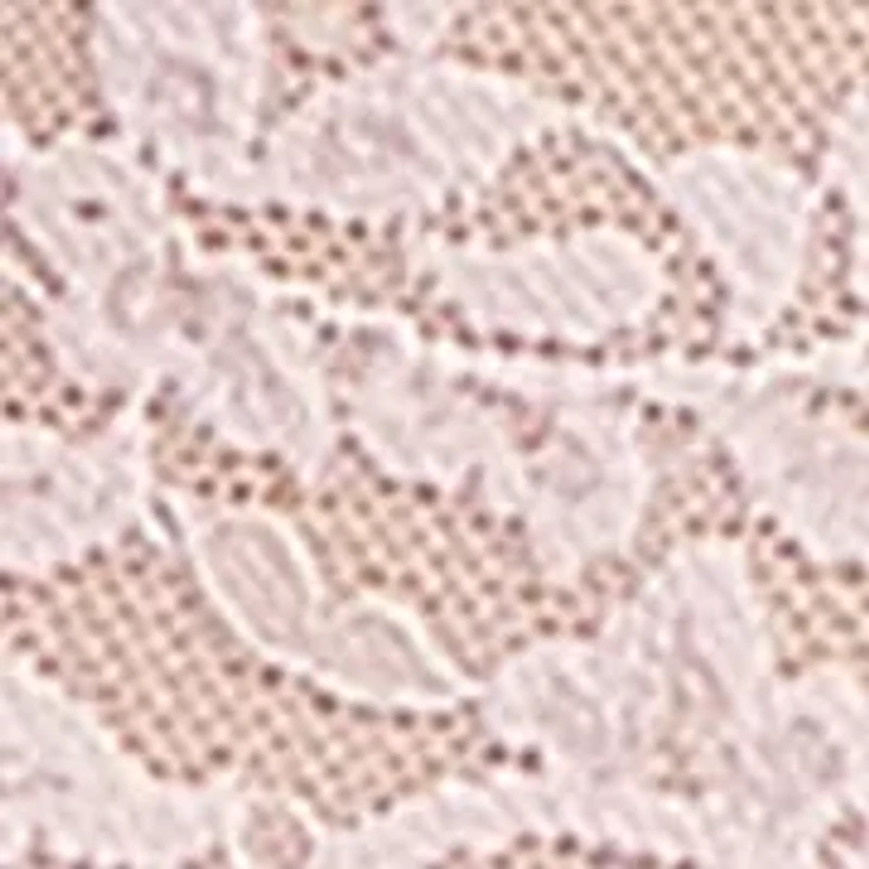 Retro Lace Vikini - 9K2124