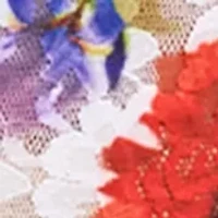 Signature Lace French Printed Brief Panty