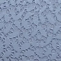 Modern Lace Longline Bralette