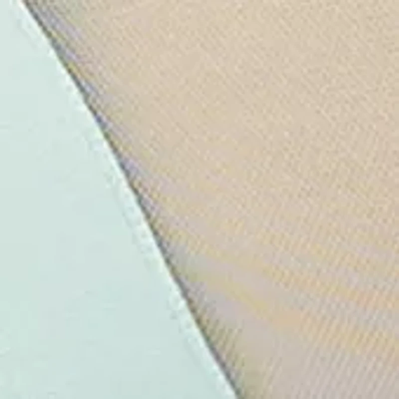 Sheer Triangle Cup Bralette