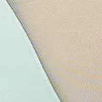 Sheer Triangle Cup Bralette