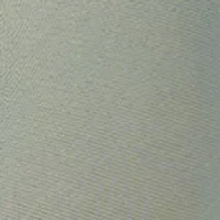 Sheer Triangle Cup Bralette