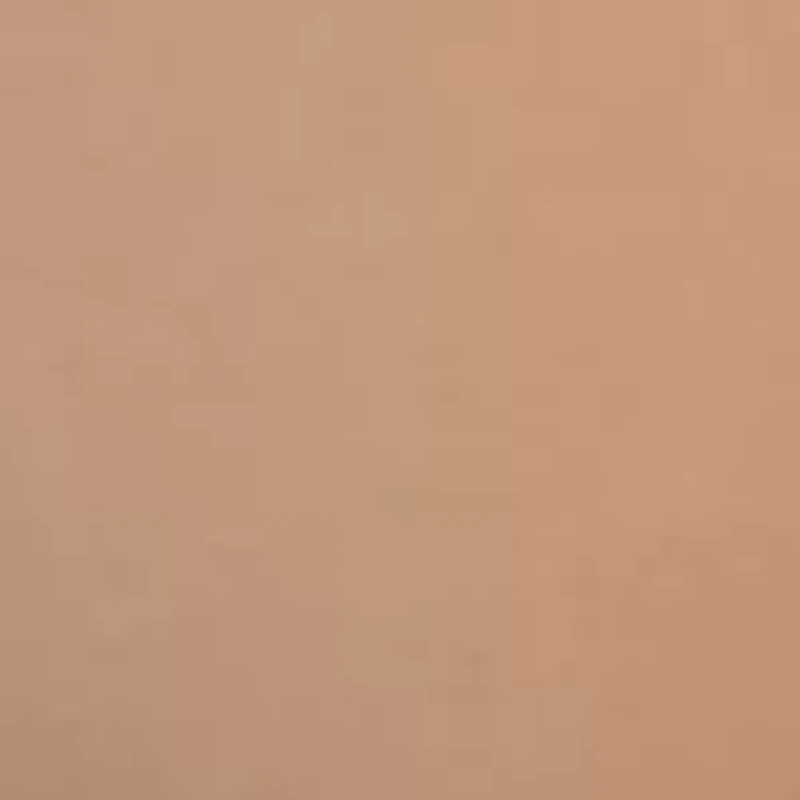 Seamless Litewear Thong