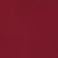 Sheer Strapless Bodysuit