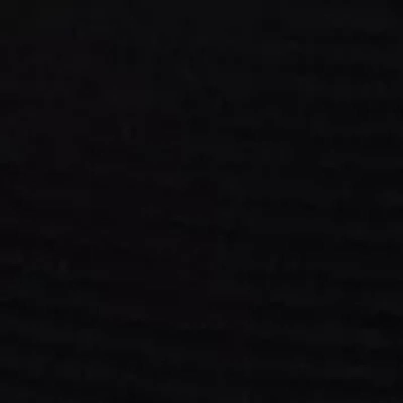 Flattering Lace® Brief