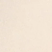Ravissant Brief