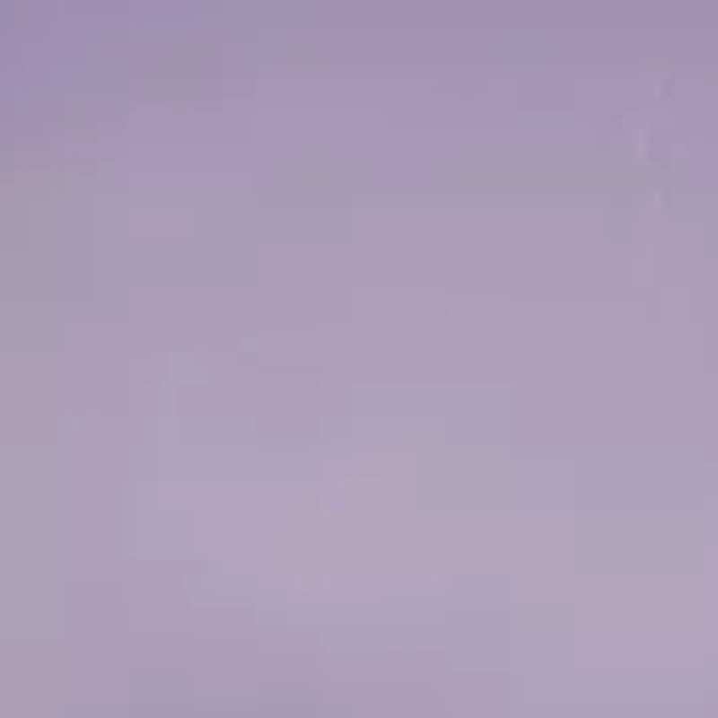 Beauty Back®  Wireless Smoothing Bra