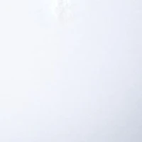 Beauty Back®  Underwire Minimizer