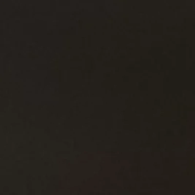 Micro Scallop Lace High Waist Hipster