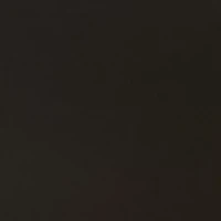 Micro Scallop Lace High Waist Hipster