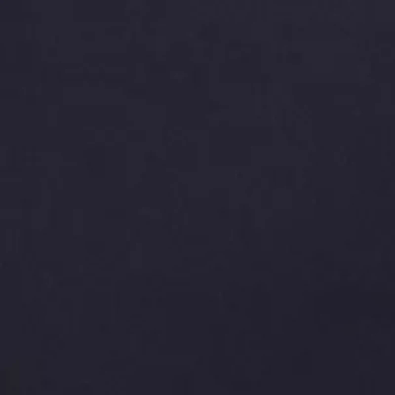 Invisibles High Waist Thong