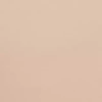 Invisibles High Waist Thong