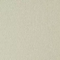 Bonded Flex Bikini Panty