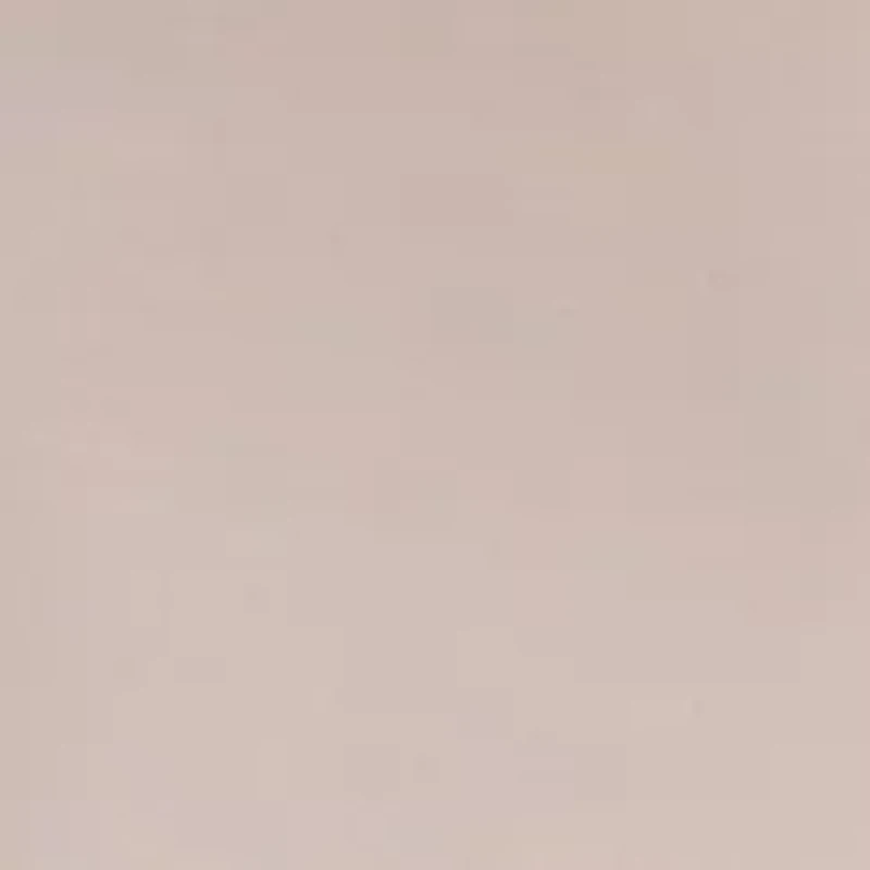 Ideal Micro High Rise Brief Panty