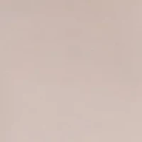 Ideal Micro High Rise Brief Panty