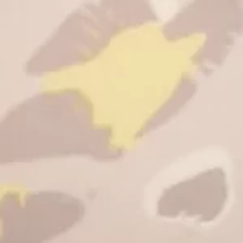 Sheer Marquisette Lace Bralette - QF1842