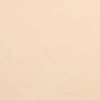 Invisible Lightly Lined V-Neck Bralette