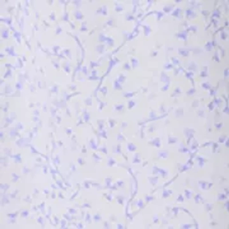 Women's Sleeveless Ballet Nightgown