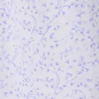 Women's Sleeveless Ballet Nightgown