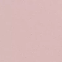 Future Foundation Lace Bralette