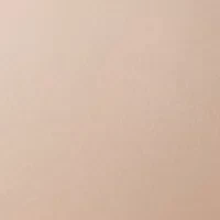 Future Foundation Push Up Strapless Bra