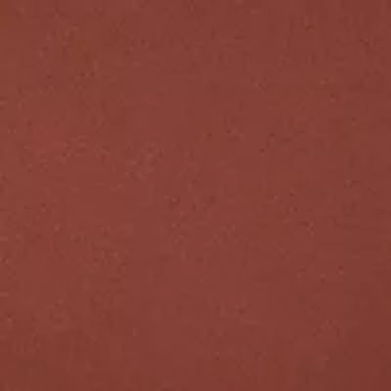 Spotlight Bikini Panty