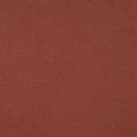 Spotlight Bikini Panty