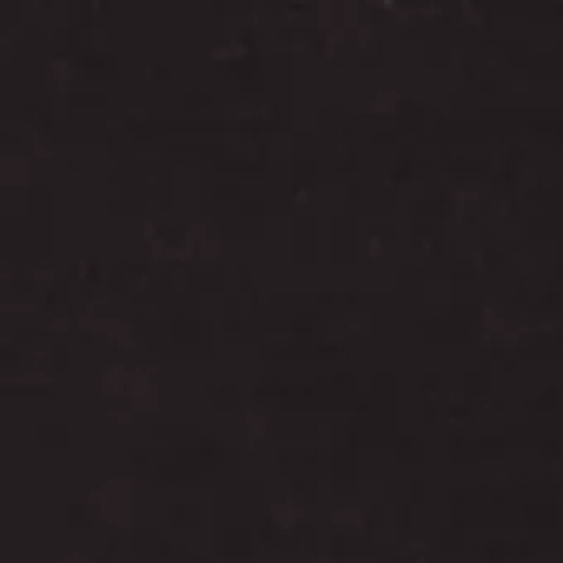 Inspired Eyelet Bikini