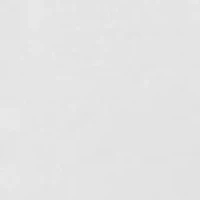 Inspired Eyelet Bikini