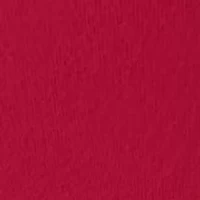 Inspired Eyelet Bikini