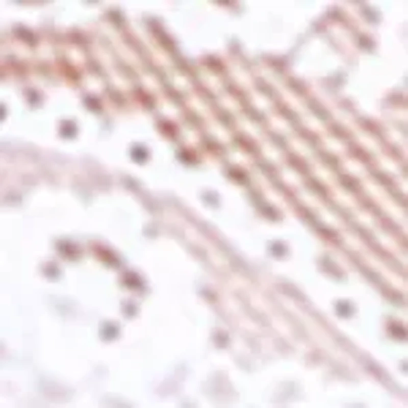 Lace Kiss Hipster - 978282