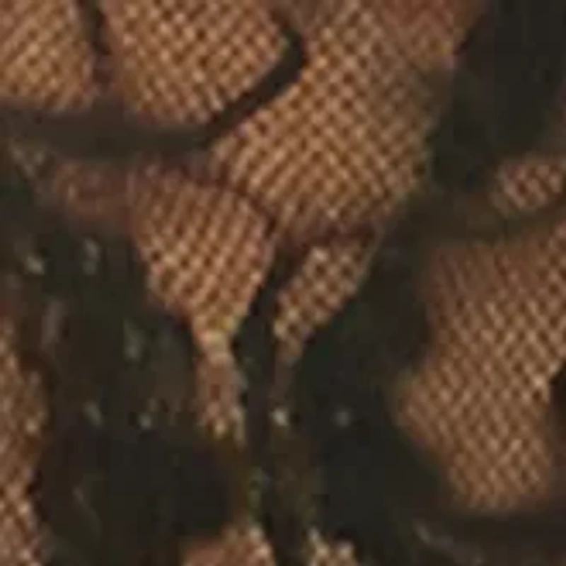 Lace Kiss Hi Leg Brief - 978382