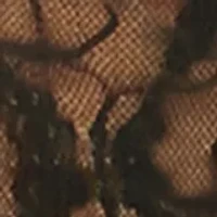 Lace Kiss Hi Leg Brief - 978382