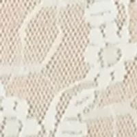 Lace Kiss Hi Leg Brief - 978382