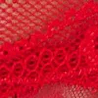 Lace Kiss Hi Leg Brief - 978382