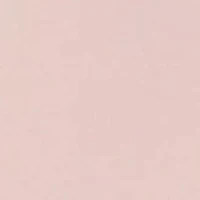 Bare High Waist Thong