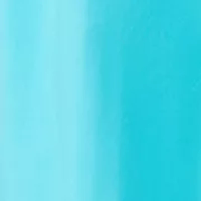 Women's Poplin Pants