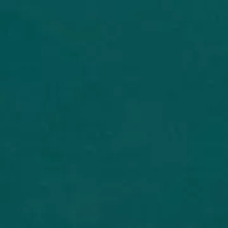 Chosen One Fused Lace Hipster Underwear