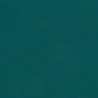 Chosen One Fused Lace Hipster Underwear