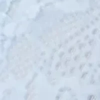 Last Dance Lace Halter Bralette