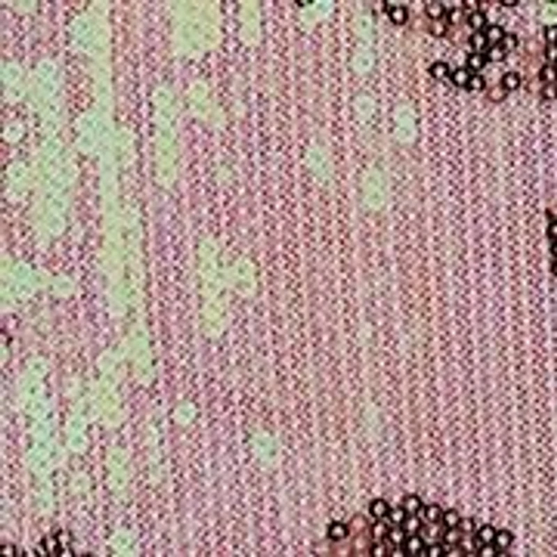 Women's Dazzle Me Sequin Jacquard