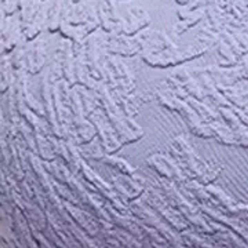 Heirloom Seemless Bralette