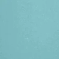 Ultimate Ultra-Light Comfort Support Strap Wireless Bra