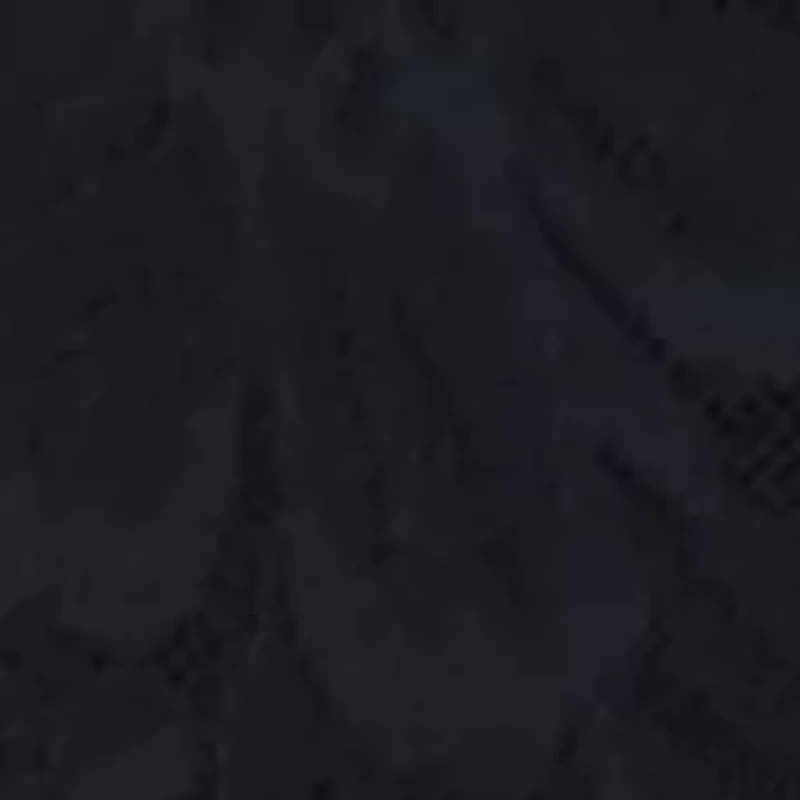 Bali Breathe Lace High Rise Brief