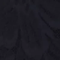 Bali Breathe Lace High Rise Brief