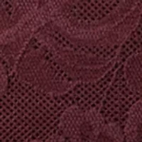 Bali Breathe Lace High Rise Brief