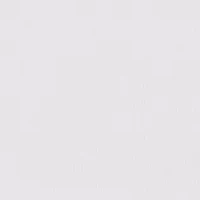 Bali's Coolest Smoothing High Waist Brief