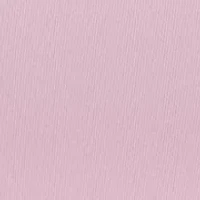 Bali's Coolest Smoothing High Waist Brief