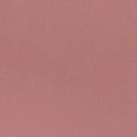 Bali's Coolest Smoothing High Waist Brief