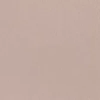 Bali's Coolest Smoothing High Waist Brief